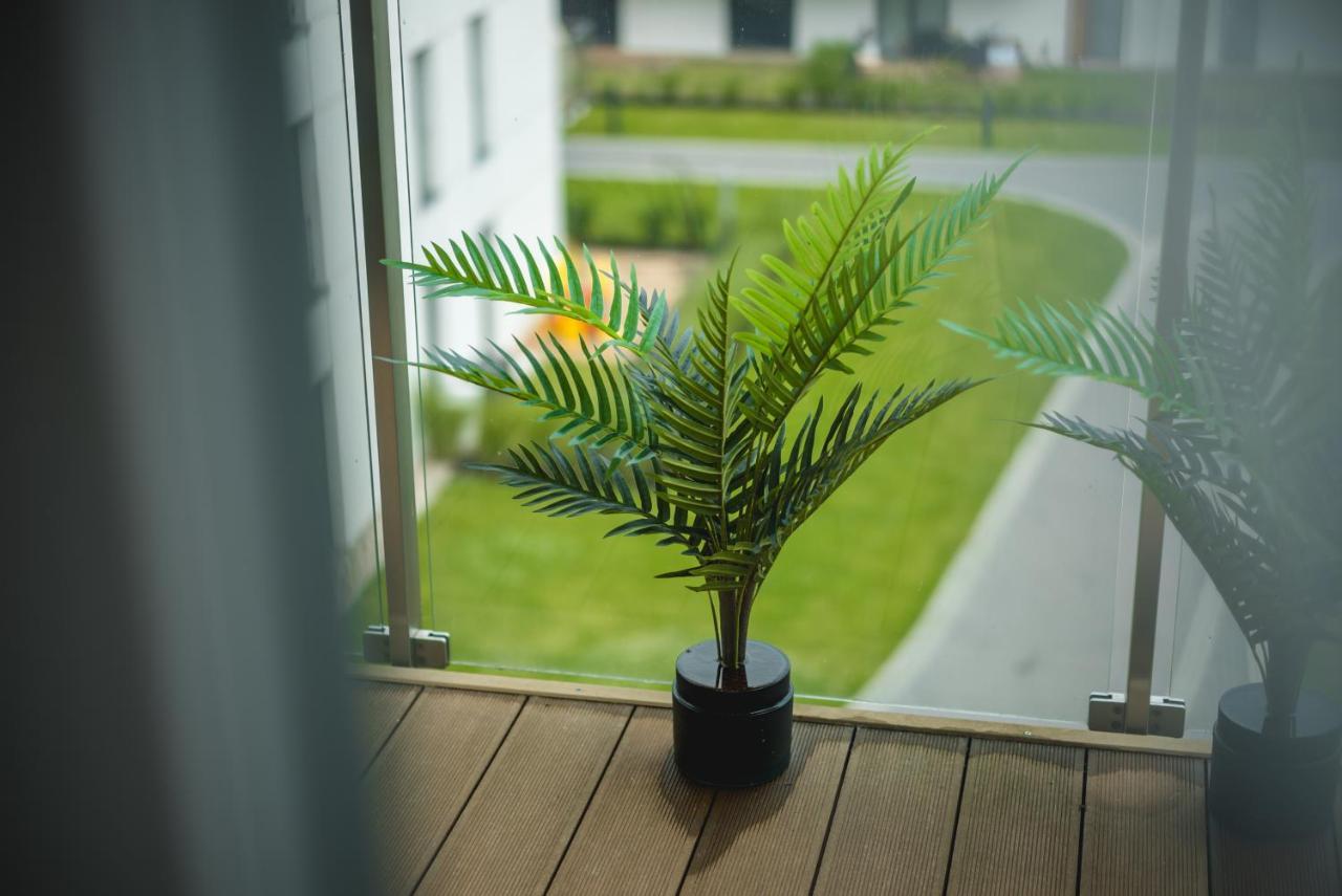 Relax Apartment